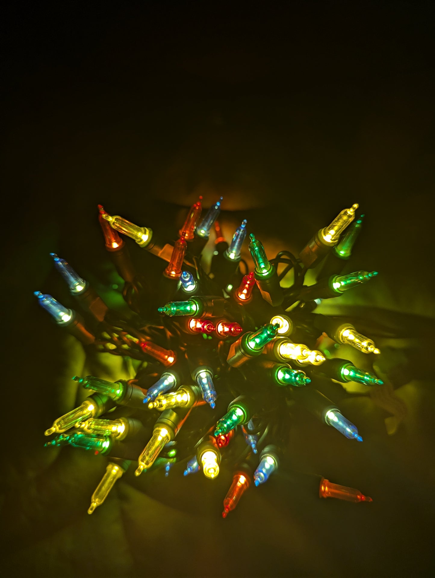 24' Classic Color Christmas Lights Strand